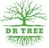 Wycinka, pielęgnacja drzew Kraków | Dr-tree
